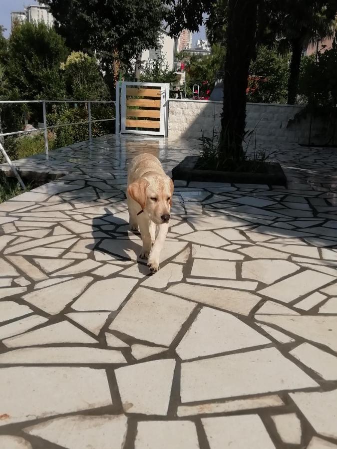 Apartmani Palmas Rijeka Extérieur photo